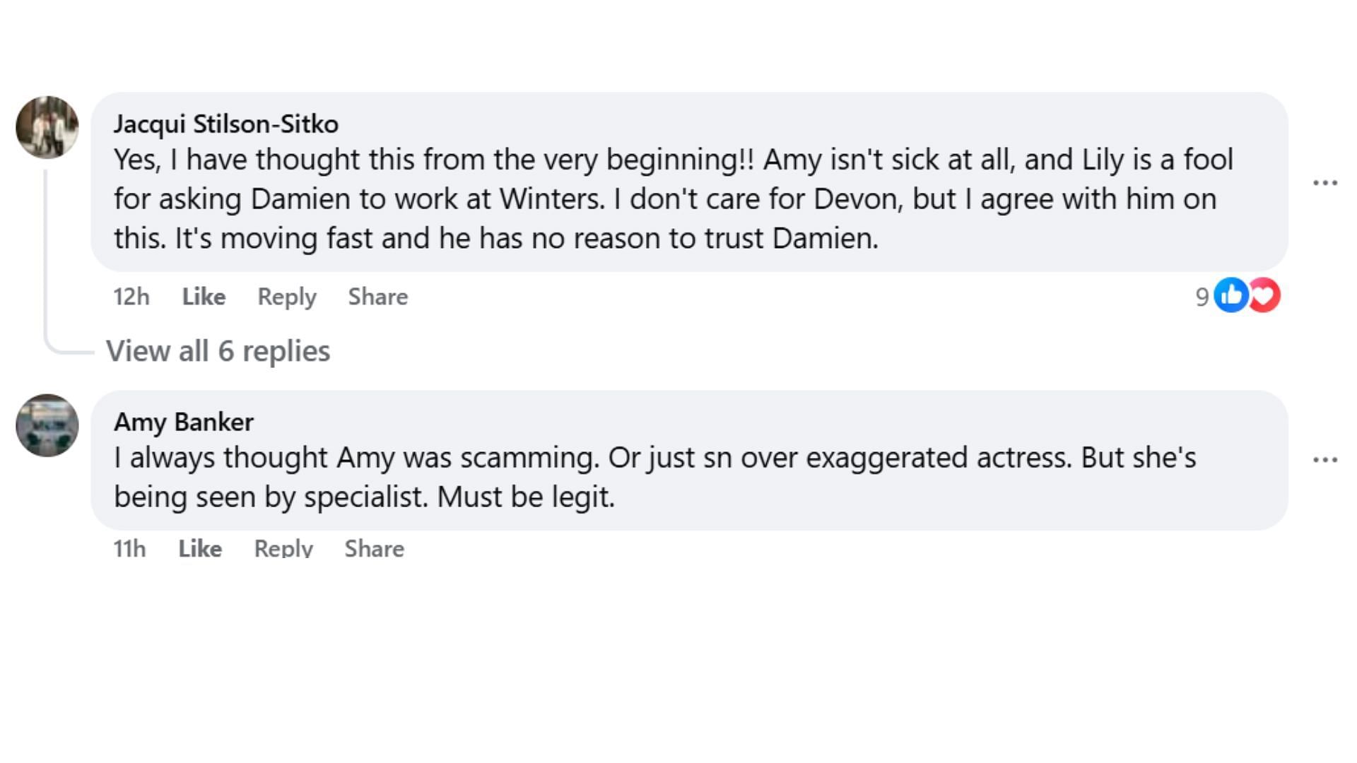 Comments by fans on the post (Image via Facebook/@Jo Balsamo Wood)
